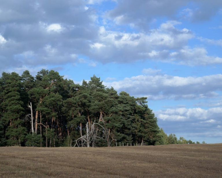 Eco-Friendly Event Planning: Hosting a Green Gathering